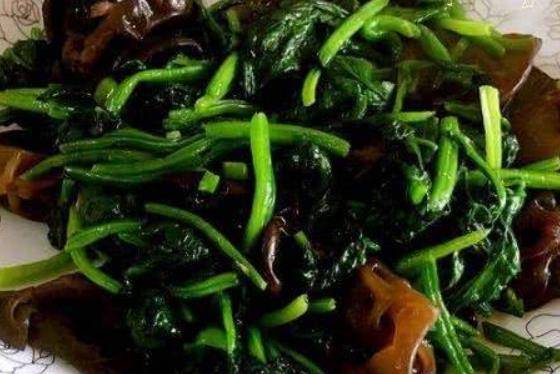 怎么种香菜菠菜 c722c787f6094a6f83284d352c588f89.jpeg