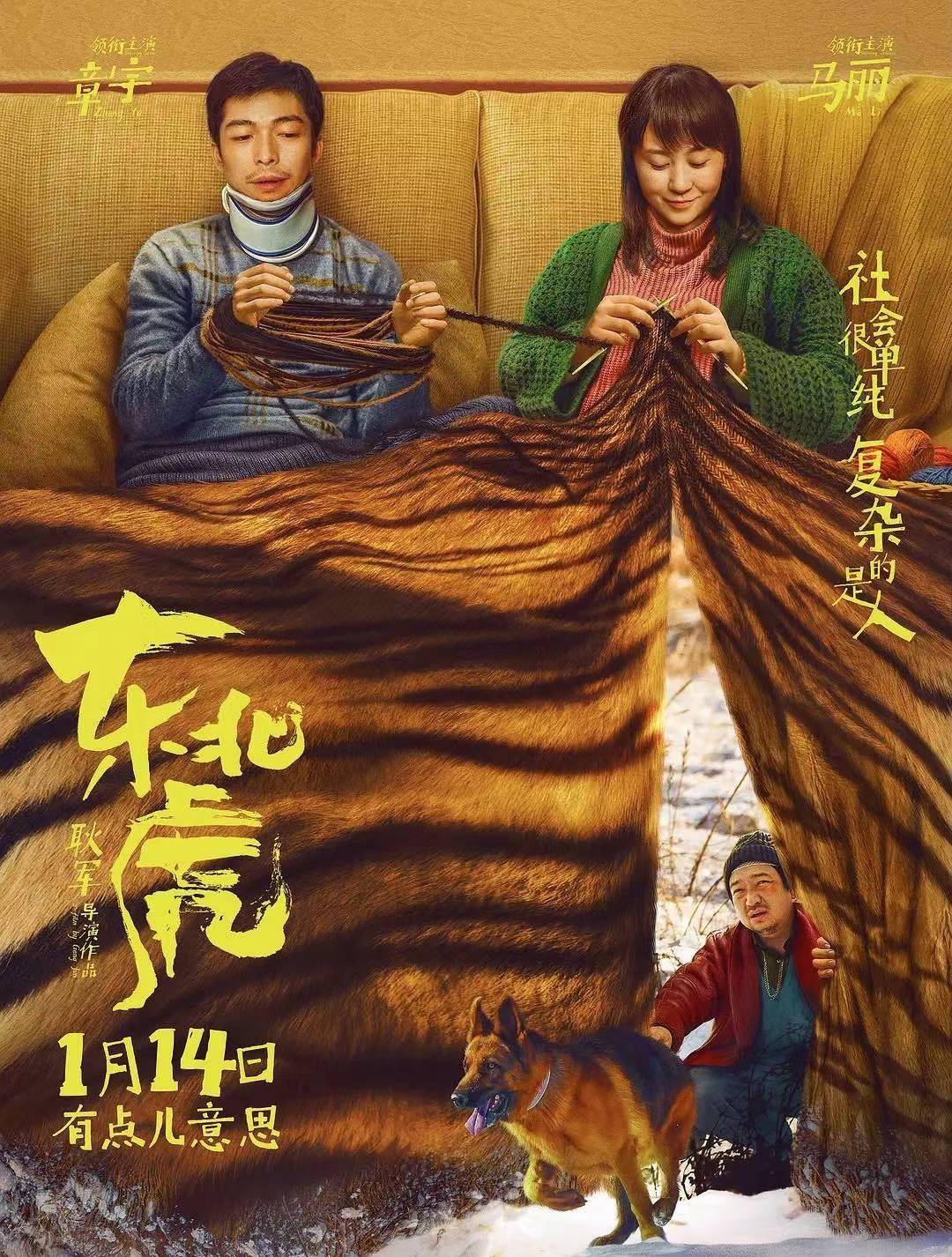 成本|章宇 马丽主演，上影节最佳影片《东北虎》，你感觉诙谐幽默吗？