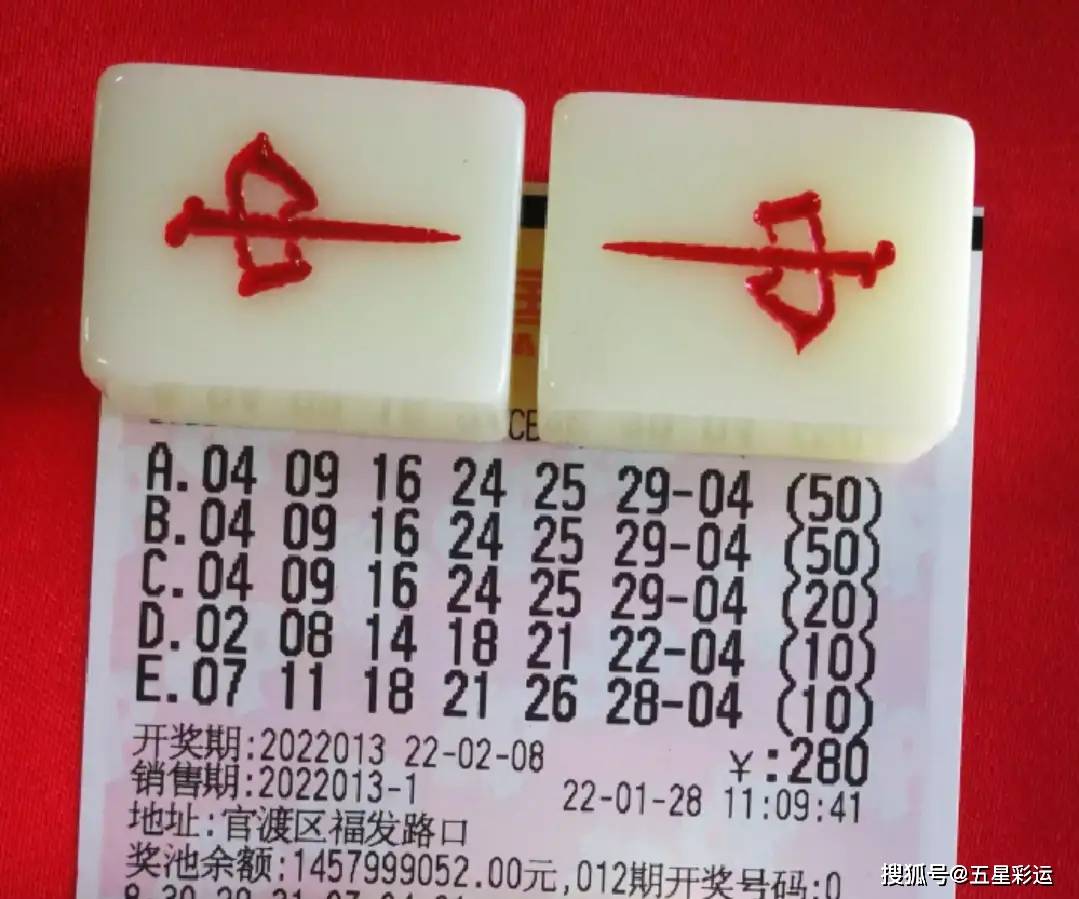 双色球22013期晒票倍投复式联袂呈现不知好运会花落谁家