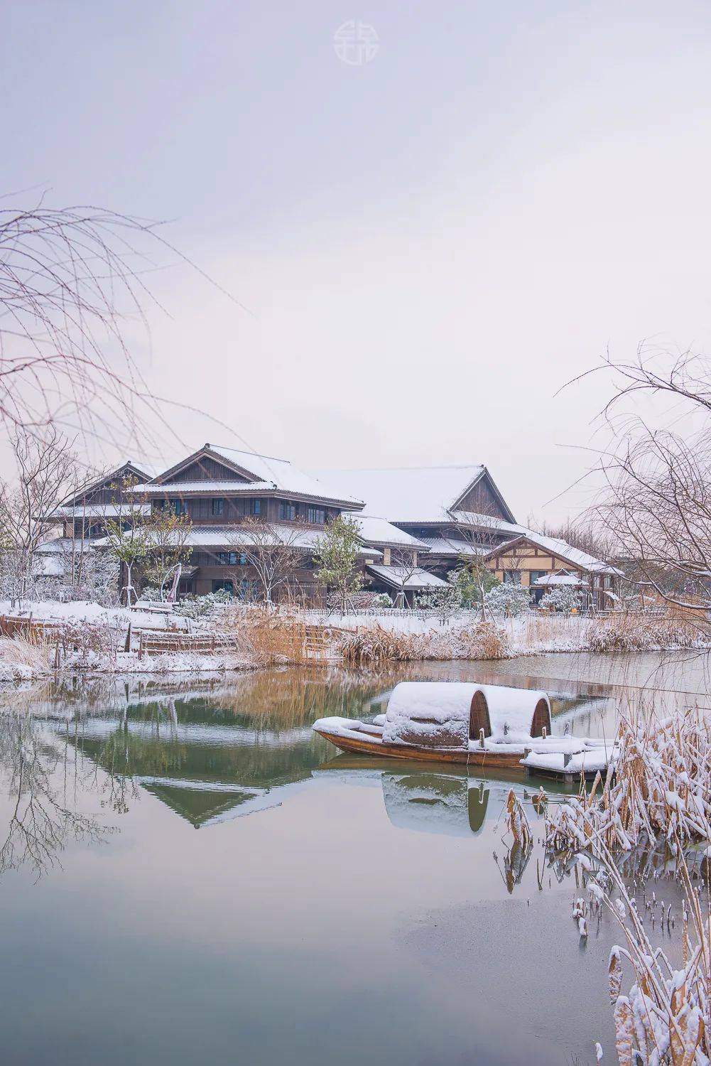 拈花湾绝美雪景大片上线每一帧都想收藏