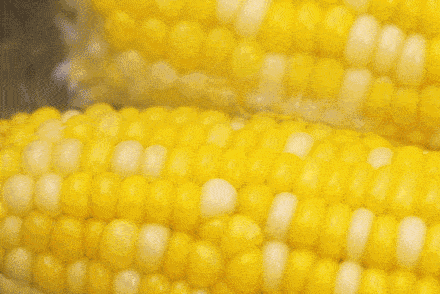 6163e89f23434ef0a9a5c002570f991b.gif
