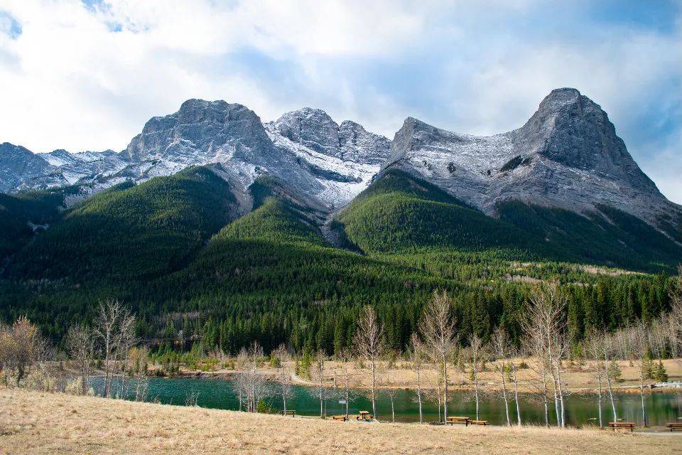 冬奥会上的家电黑科技,成为中外企业争夺的新赛场-家电圈官网