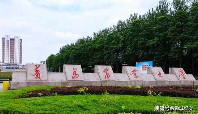 原创青岛为何没有自己真正的大学城？