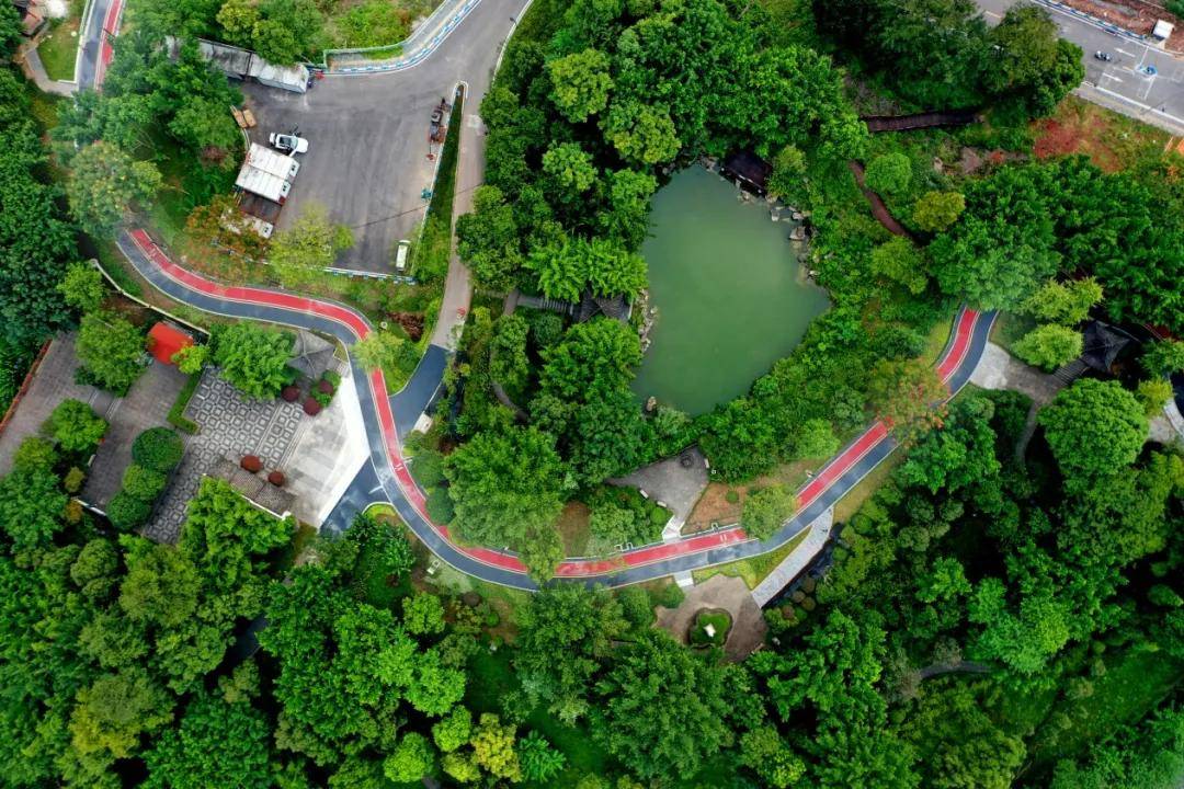 大渡口文旅图景丨名副其实的公园之_义渡_解国_姜沛灵
