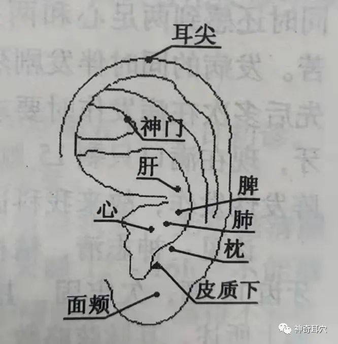 6d81179c2e554ef583a7d4bed350cbee.jpeg
