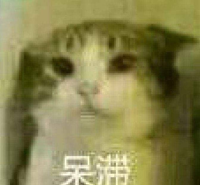 12379ddf376b468e8337ab47337efe51.jpeg