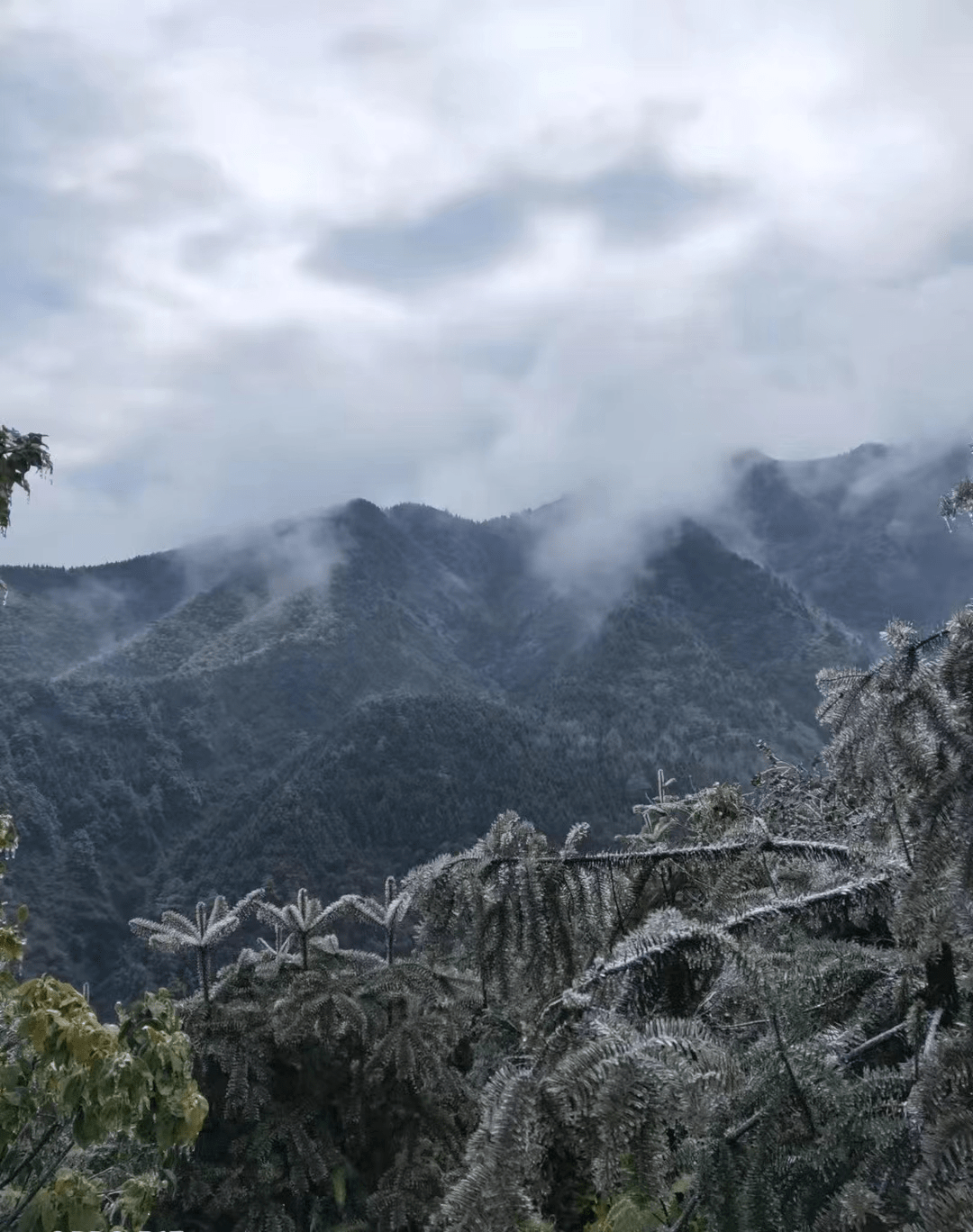 高霞山上看雾凇_邵阳_游客_冰挂