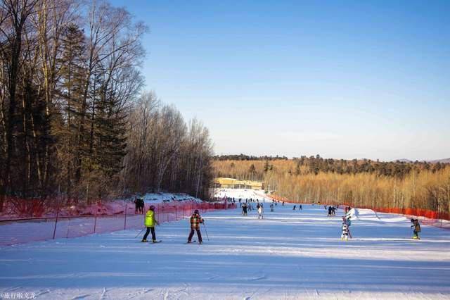 长白山北坡只有一个雪道的红松王滑雪场，是滑雪季新手的冰雪乐园