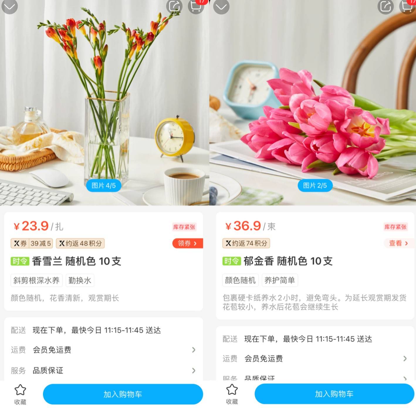 玫瑰价格暴涨 火了小众又平价的郁金香 洋牡丹 小苍兰 鲜花 花束 销售