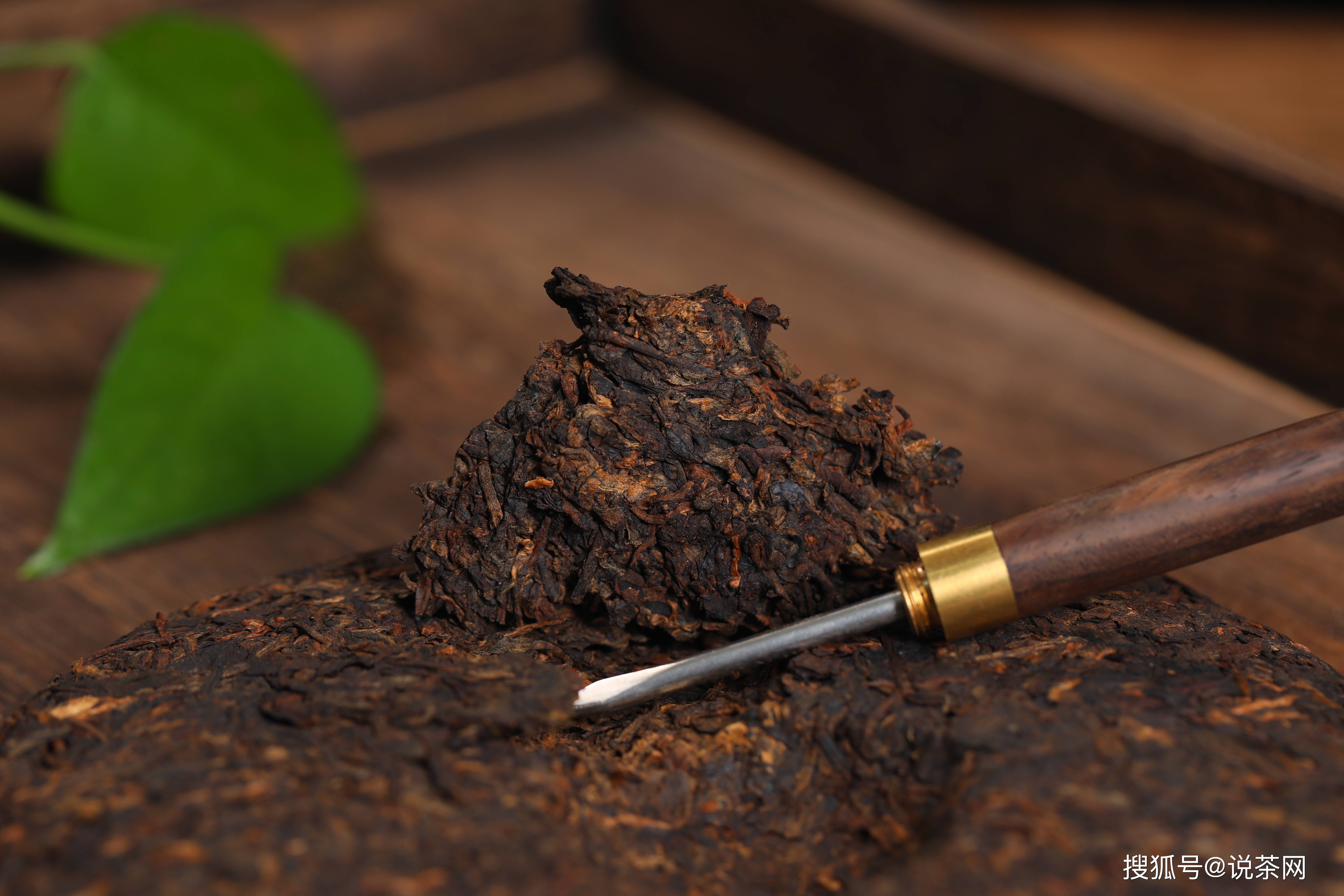普洱熟茶辟谣:熟茶中含有致癌物——黄曲霉,还能喝吗?_霉菌_茶叶_细菌