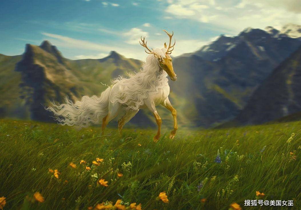 永不言败的三大星座 骨子里透着血性 不达目的 誓不罢休 生命 人生 时候