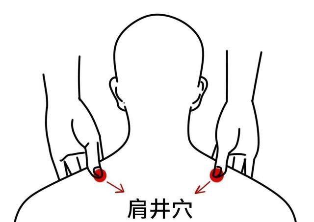 吃什么通气血通经络 c422302f71324c7c81e83785f5642d8c.jpeg