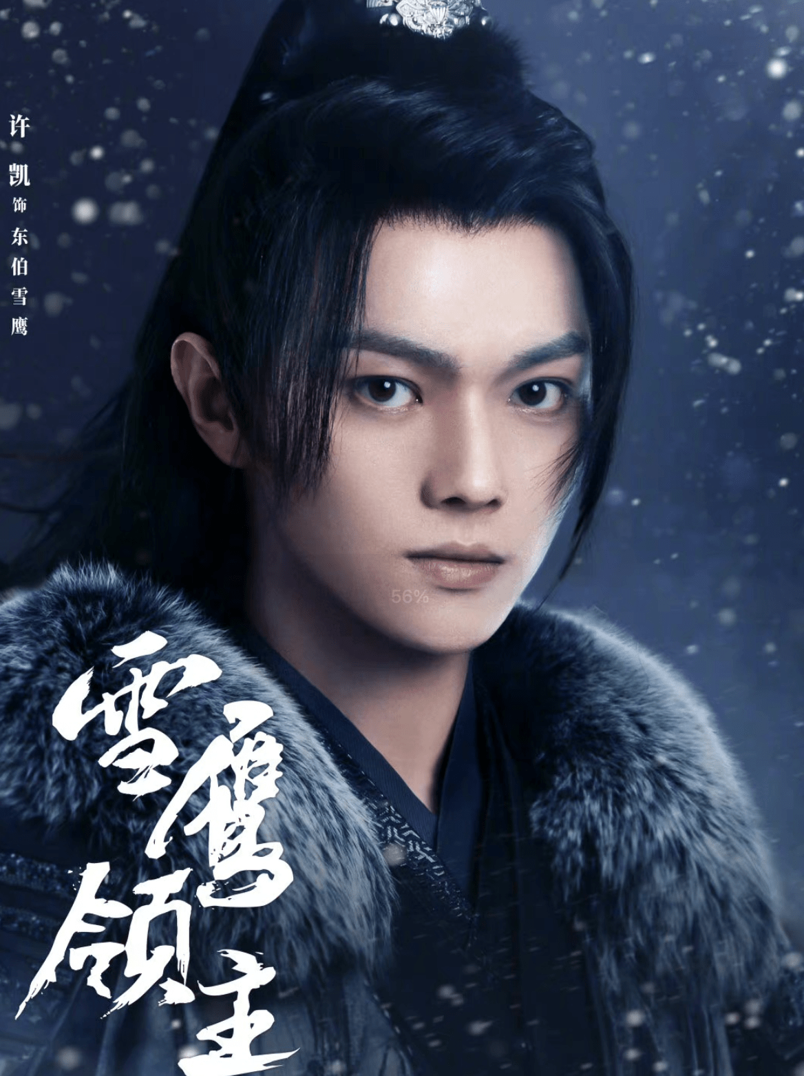 雪鹰电视剧全集在线观看 2950dac8f0204ce8a8a5ed302e42ffa5.png