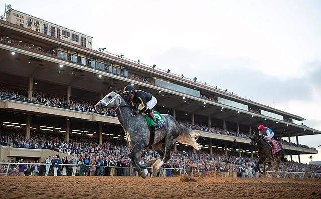 美国马王诞生美国赛马年度盛会日蚀奖揭晓