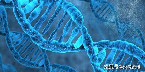 什么是基因突变生物 9f9eddb949014d73b6c0e16823223b0e.jpeg