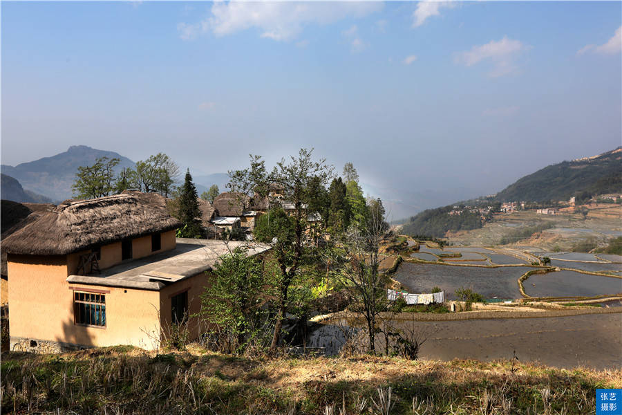 村里|云南元阳梯田中的美丽阿者科古村落，游客称之为“云上梯田人家”