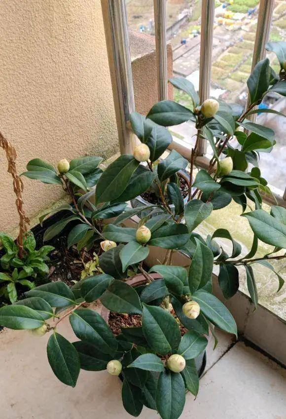 df079cc385844f15837cec20abeef636.jpeg