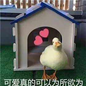 原创表情包界都需要用骚气闯出头的日子我是爱了