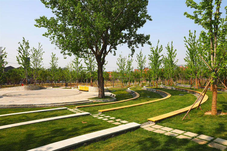 原创北京朝阳区冷门小众公园以养生为特色主题有大量药用植物