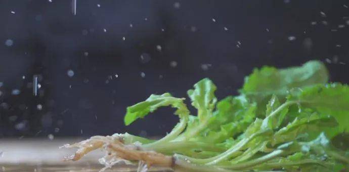 吃什么菜可以清血管里的垃圾 1dd3746b4cb744639fb84d836bf8f96d.jpeg