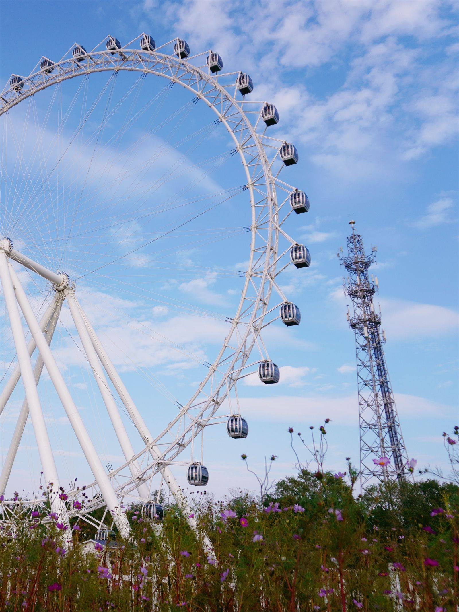 票价为50/人,从摩天轮上往下望,可以更全面地体会森林公园的美景哦～2