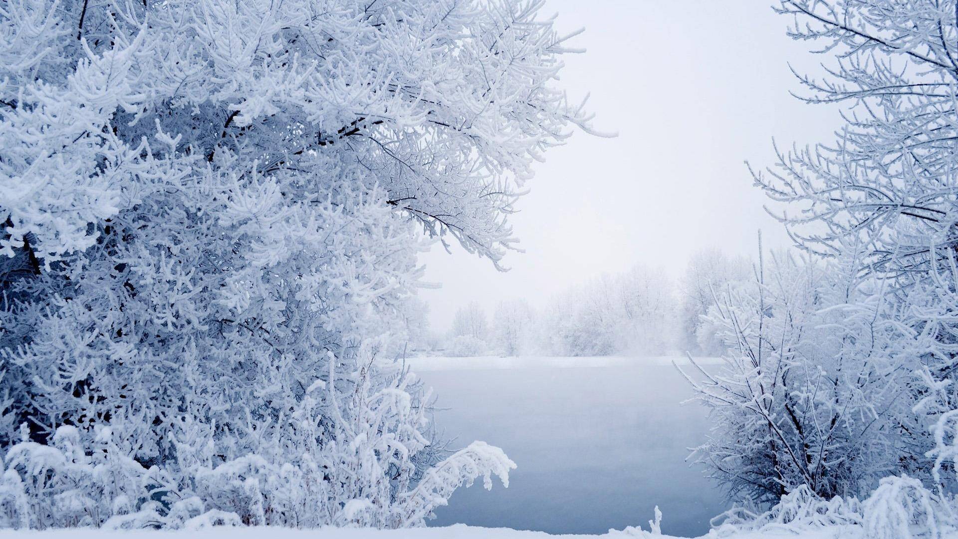 梦见下细雨一会又变成雪，探索梦境中的奇妙转变与深层含义