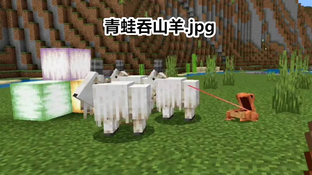 我的世界 1 19新生物 青蛙 你可能不知道的13个有趣特性 小蝌蚪 史莱姆 这是因为 我的世界 1 19新生物 青蛙 你可能不知道的13个有趣特性 小蝌蚪 史莱姆 这是因为