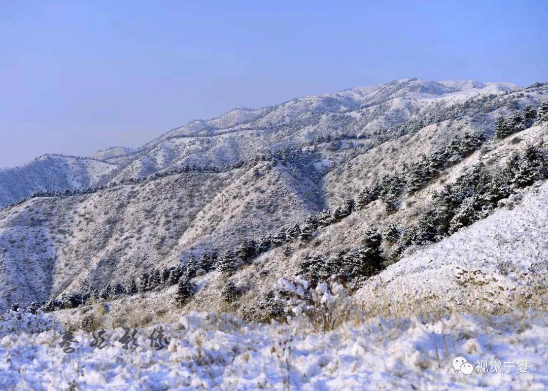图说丨走进宁夏罗山寻找静谧幽远的神话