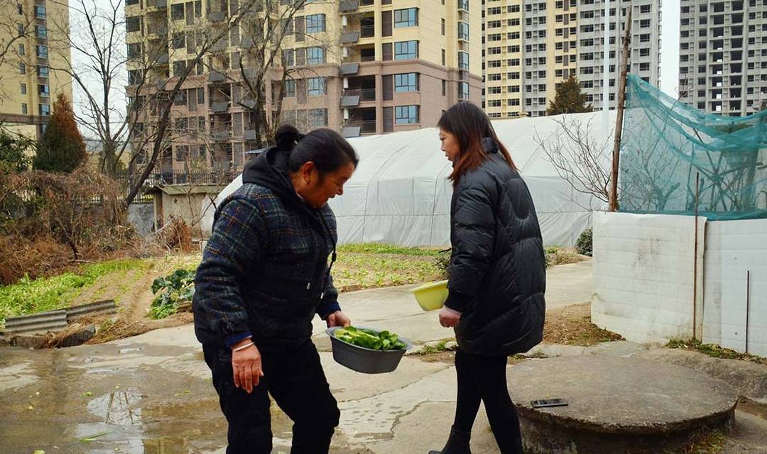 原创村民在井边建水池，1天100多人洗米洗菜洗拖把，看为啥“不脏”