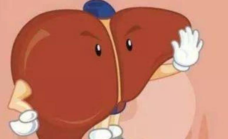 肝脏|养肝吃胡萝卜？医生建议：想养肝的人，建议常吃这3种食物