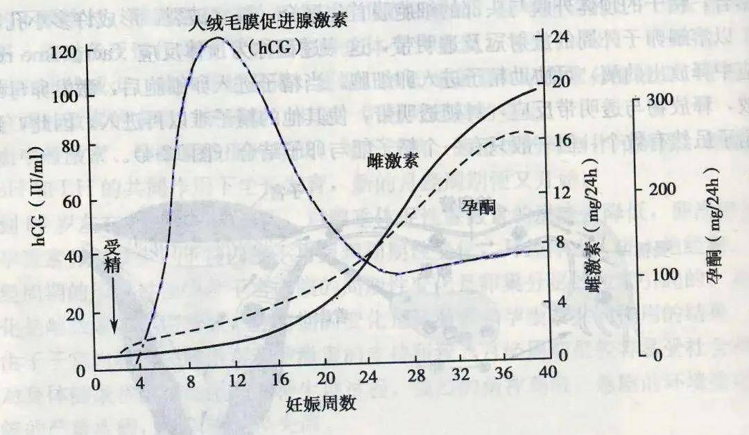 治疗|riri爱情事业双丰收的同时，还美美当辣妈了