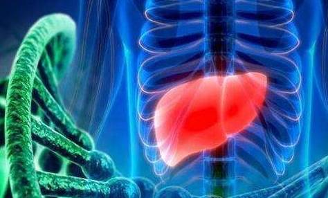 肝脏|肝脏出现问题时，身体会出现这6个蛛丝马迹，还请及时就诊检查！
