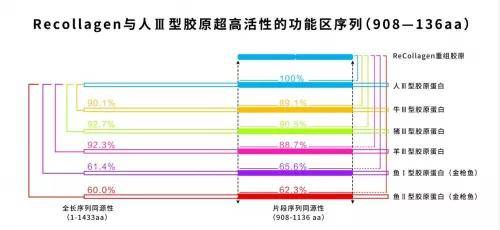 因为谁能想到这种绝美恶女颜背后,是个傻白甜啊