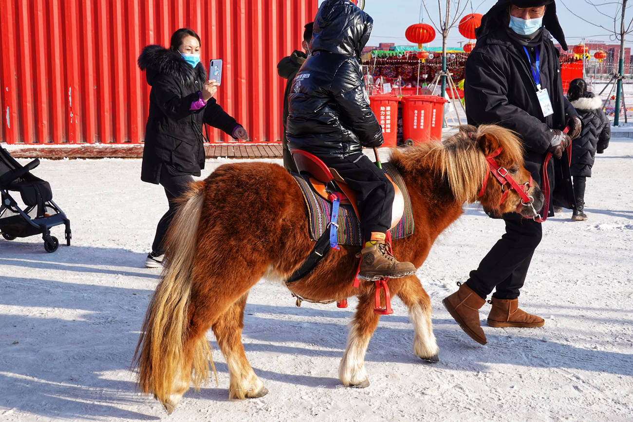 东北|吉林首家沉浸式冰雪度假区知北村，无门票年味足，游客：太好玩了