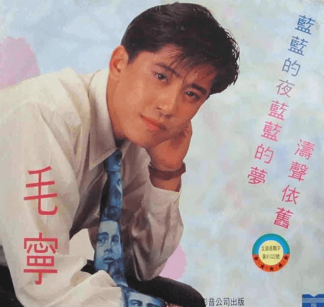 好可惜52岁毛宁依旧帅气为何难翻红了
