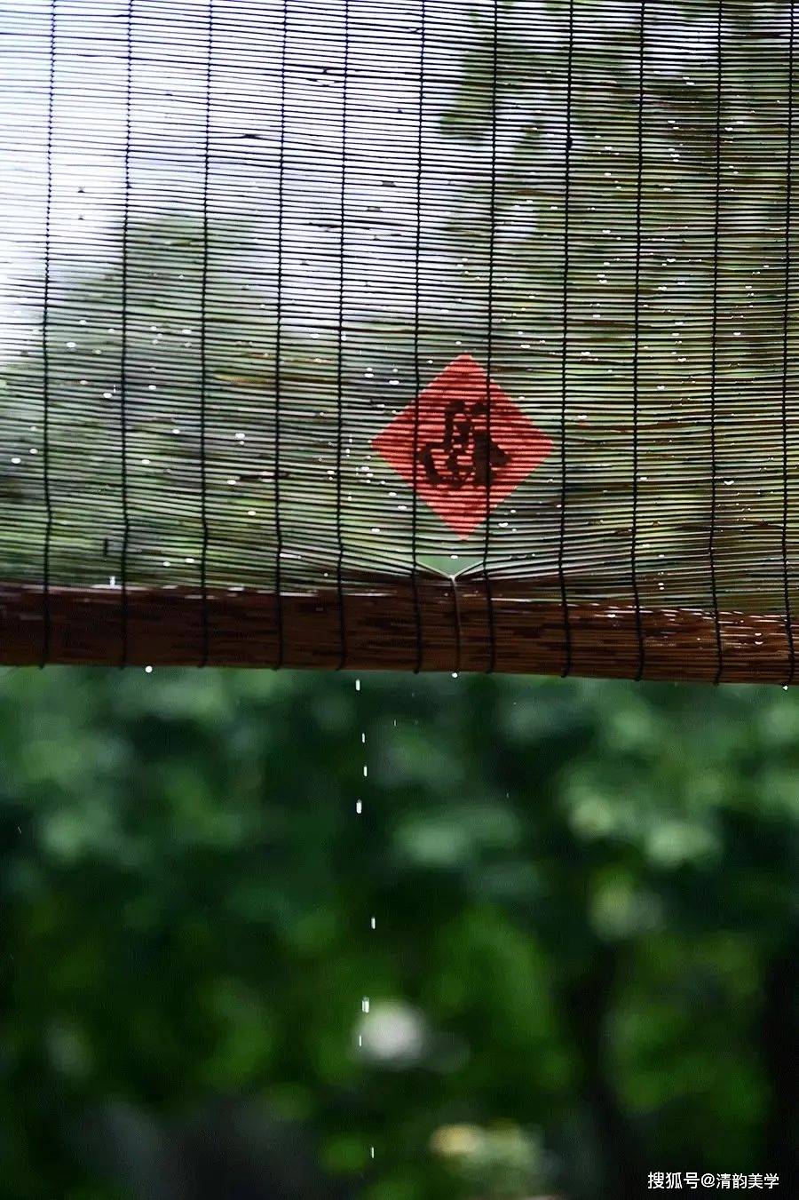 雨水丨春风化雨雨落新生