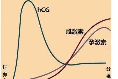 因为|37岁可儿怀三胎，挺9个月孕肚脚踩“两根针”，网友：最强孕妇！