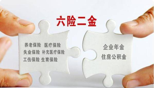 什么是五险一金什么是六险一金 2909dddc584745a19e675a4cbfe1d4f8.jpeg