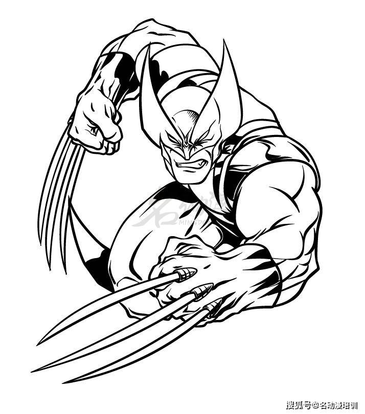 金刚狼入门画法