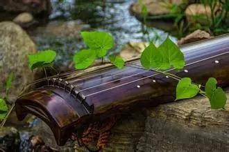 古琴各部位材料你认识几个？_梧桐树_泡桐_凤凰鸣