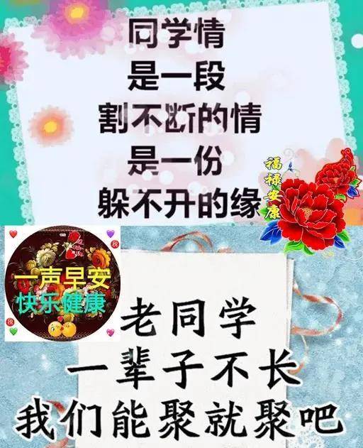 8張很有創意春日清晨老同學問候圖片帶字免打字老同學早上好問候祝福