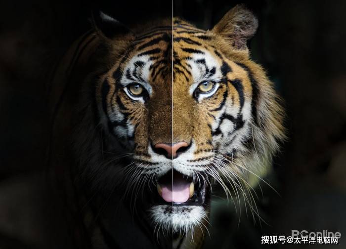 新一代高亮旗舰投影仪当贝F5发布 带深度了解它的高能！