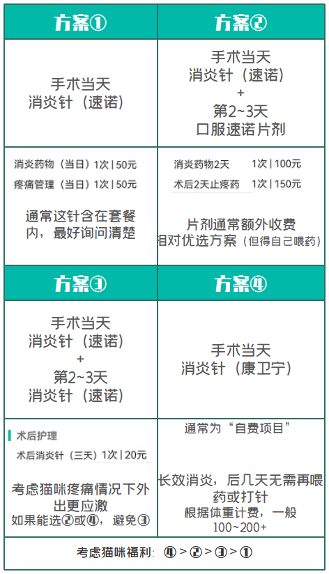 原创猫咪绝育前的必知事项一篇给你说清