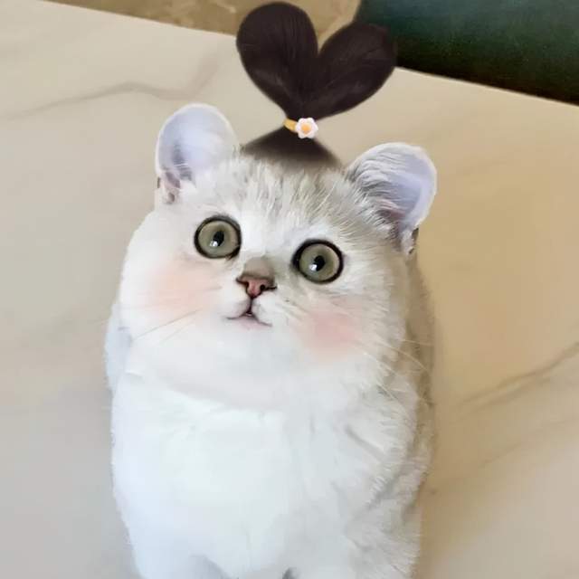 双马尾和麻花辫少女喵,有点村花的感觉了!