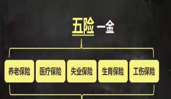 社保累计缴费是什么意思_社保累计缴纳_社保累计缴费