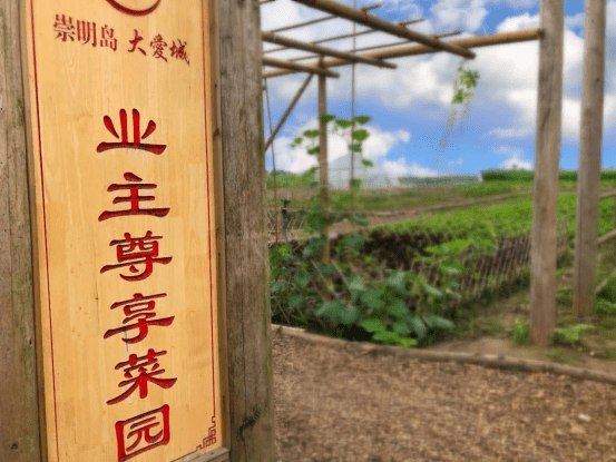 崇明岛大爱城-欢迎您！！！ 官网_搜狐网