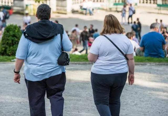 肥胖人口_报告:2030年巴西肥胖人口占比或将增至26%