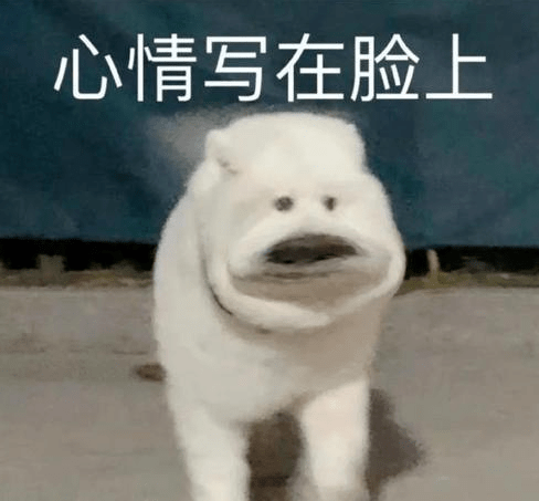 指南者留学小道消息港新发放笔面通知,nus增设可捡漏新专业!