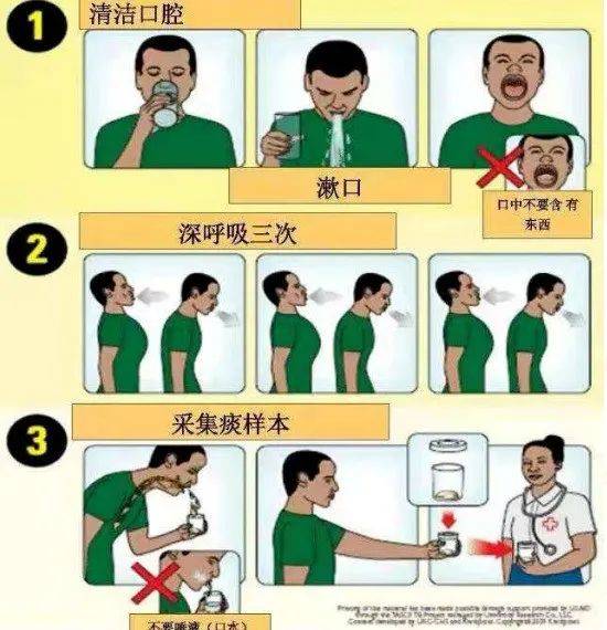 大便|痰标本、尿标本、血标本……标本留取，小问题大学问！