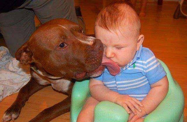 宠物|养狗人最容易患的“7种病”，劝你定期体检